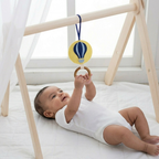 Montessori Gym Accessories