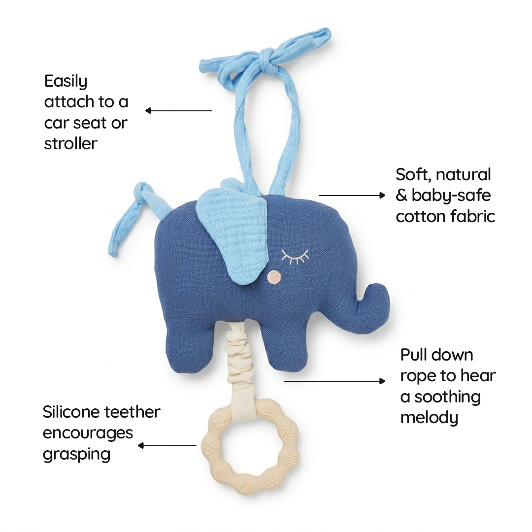 Elephant Adventures Gift Basket