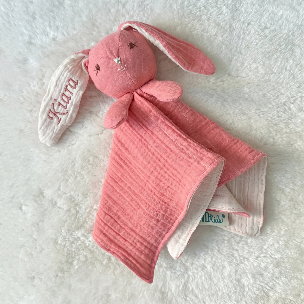 Bunny Cuddle Baby Toy