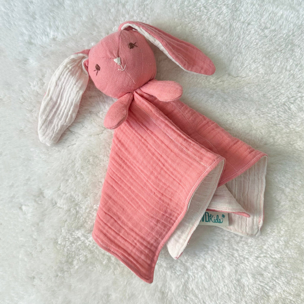 Bunny Cuddle Baby Toy