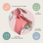 Bunny Cuddle Baby Toy